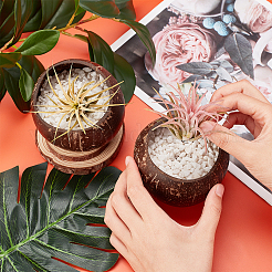 Coconut Candle Holder&nbsp;COCB-WH0001-01