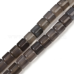 Natural Grey Agate Beads Strands&nbsp;G-G275-D23-10x10mm