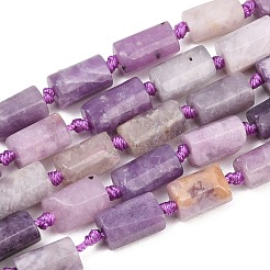 Natural Lepidolite/Purple Mica Stone Beads Strands&nbsp;G-A314-A03-01
