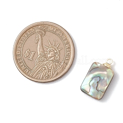 Natural Abalone Shell/Paua Shell Pendants&nbsp;PALLOY-JF04876