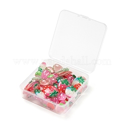 50Pcs Resin Cabochons&nbsp;CRES-LS0001-11