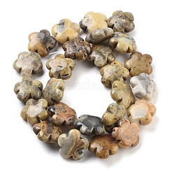 Natural Crazy Agate Beads Strands&nbsp;G-F769-M01-01