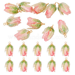 10Pcs Transparent Acrylic Pendants&nbsp;SACR-TA0001-66B