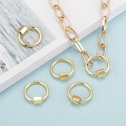 Brass Screw Carabiner Lock Charms&nbsp;X-KK-T047-06G