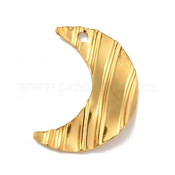 304 Stainless Steel Pendants&nbsp;STAS-D187-05G
