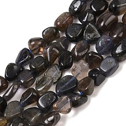 Natural Iolite/Cordierite/Dichroite Beads Strands&nbsp;G-A284-A02-02