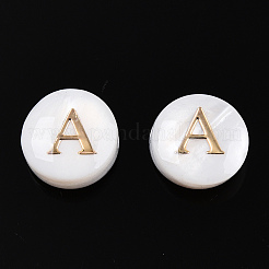 Natural Freshwater Shell Beads&nbsp;SHEL-N036-01A
