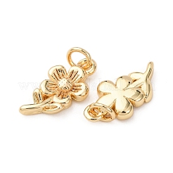 Brass Pendants&nbsp;KK-D019-15C-G