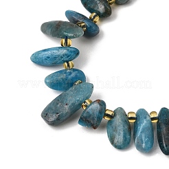 Natural Apatite Beads Strands&nbsp;GG-CBADF20-A08