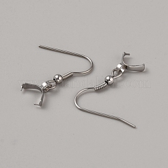 304 Stainless Steel Earring Hooks&nbsp;STAS-WH0027-70P