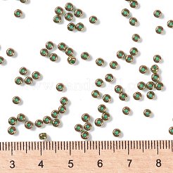 MIYUKI Round Rocailles Beads&nbsp;X-SEED-G008-RR0307