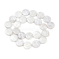 Electroplate Porcelain Imitation Pearl Beads Strands&nbsp;BSHE-Z009-02A