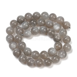 Natural Grey Moonstone Beads Strands&nbsp;G-G206-A01-10mm