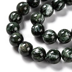 Natural Seraphinite Beads Strands&nbsp;G-E557-22B