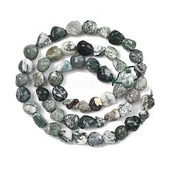 Natural Tree Agate Beads Strands&nbsp;G-D362-A01