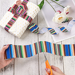 2Rolls 2 Styles Stripe Pattern Printed Polyester Grosgrain Ribbon&nbsp;OCOR-TA0001-37G