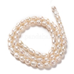 Natural Cultured Freshwater Pearl Beads Strands&nbsp;PEAR-J005-61
