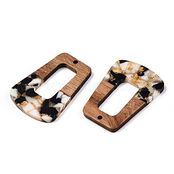 Transparent Resin & Walnut Wood Pendants&nbsp;RESI-TAC0017-72-AM