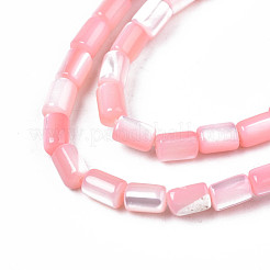Natural Trochid Shell/Trochus Shell Beads Strands&nbsp;SHEL-N003-26-B05