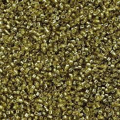 MIYUKI Delica Beads&nbsp;SEED-MY11-DB2164
