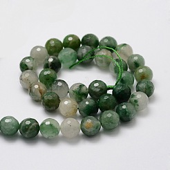 Faceted Round Natural Chrysoprase Bead Strands&nbsp;G-L437-07-10mm