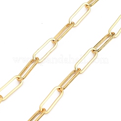 Brass Screw Carabiner Lock Pendant Necklaces&nbsp;NJEW-JN03011-04