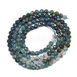 Natural Blue Tourmaline Beads Strands&nbsp;G-G294-A02-3mm-01