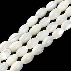 Natural Trochus Shell Beads Strands&nbsp;BSHE-E030-02C