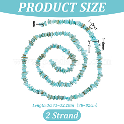 Natural Freshwater Shell Beads Strands&nbsp;BSHE-WH0006-05B