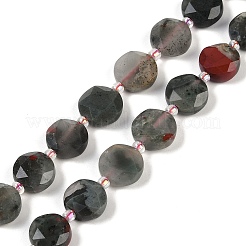 Natural Afican Bloodstone Beads Strands&nbsp;G-C116-A32-01
