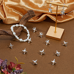 40Pcs Alloy Pendants&nbsp;FIND-SC0021-11
