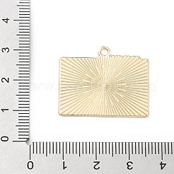 Sports Alloy Enamel Pendants&nbsp;ENAM-I074-01G-08