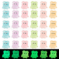 48Pcs 6 Colors Luminous Resin Dog Figurine&nbsp;DJEW-TA0001-44