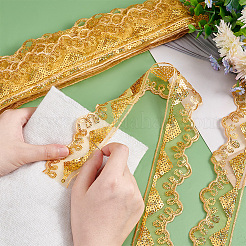 Embroidery Polyester Lace Ribbons&nbsp;OCOR-WH0060-51