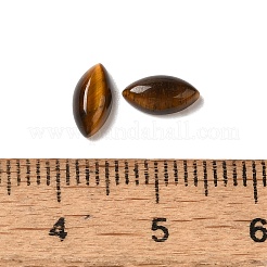 Natural Tiger Eye Cabochons&nbsp;G-F772-01B-10