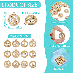 Zinc Alloy Jewelry Pendant Accessories&nbsp;FIND-FW0001-03A