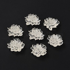 Transparent Resin Cabochons&nbsp;X-RESI-G027-01A