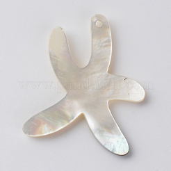 Sea Shell Pendants&nbsp;X-SSHEL-Q297-56