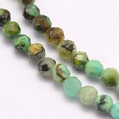 Natural African Turquoise Beads Strands&nbsp;LS-G-F509-29-3mm