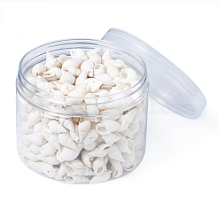 Natural Trumpet Shell Beads&nbsp;BSHE-KS0001-01