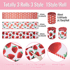 3 Rolls 3 Style Polyester Ribbon&nbsp;OCOR-TA0003-61