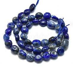Natural Lapis Lazuli Beads Strands&nbsp;X-G-O186-B-17