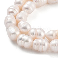 Natural Cultured Freshwater Pearl Beads Strands&nbsp;PEAR-P062-14B