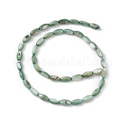 Natural Freshwater Shell Dyed Beads Strands&nbsp;SHEL-M018-13-11
