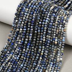 Natural Lapis Lazuli Beads Strands&nbsp;G-L629-B01-3mm-04