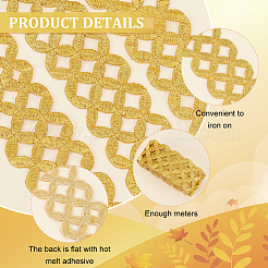 Iron on/Sew on Embroidery Coin Polyester Hollow Lace Ribbons&nbsp;OCOR-WH0085-50