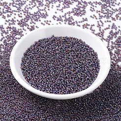 MIYUKI Round Rocailles Beads&nbsp;X-SEED-G007-RR1013
