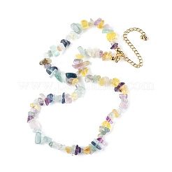Natural Fluorite Chips Beaded Necklace&nbsp;NJEW-FZ00004-08