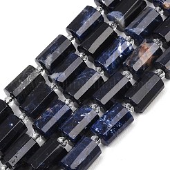 Natural Sodalite Beads Strands&nbsp;G-G453-E06-10x14mm