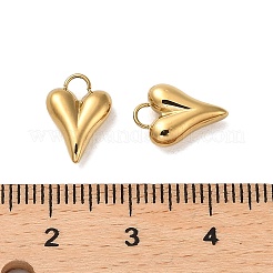 304 Stainless Steel Charms&nbsp;STAS-A089-26G